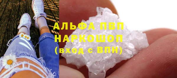 молекула духа Аркадак