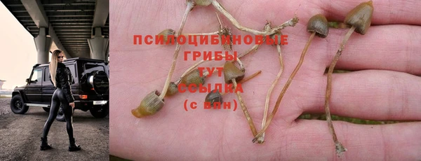 первитин Арсеньев