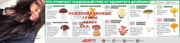 молекула духа Аркадак