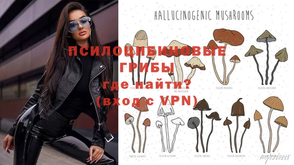 молекула духа Аркадак