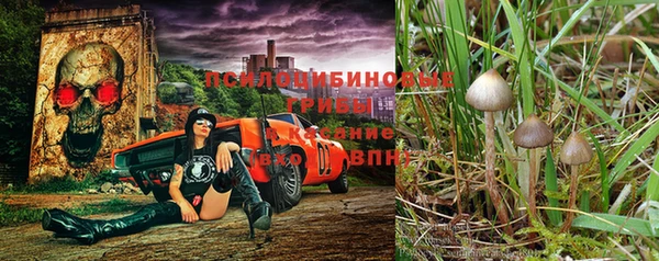 первитин Арсеньев