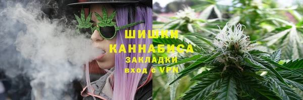молекула духа Аркадак