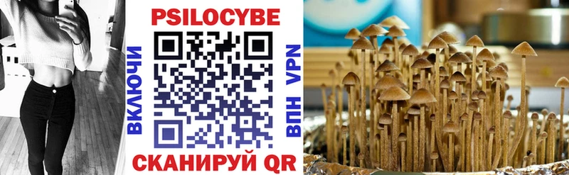 Галлюциногенные грибы Psilocybe  Стрежевой 
